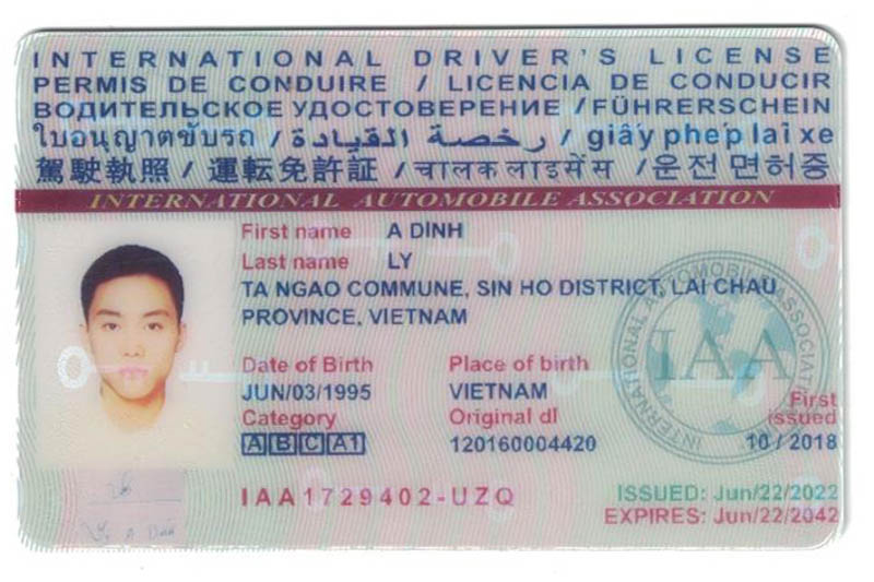 Mau bang lai xe quoc te IAA 20