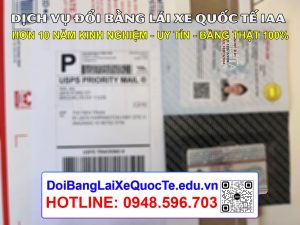 Dich vu doi bang lai xe quoc te IAA cap toc 5 ngay Nhan bang tai My 15022024 1