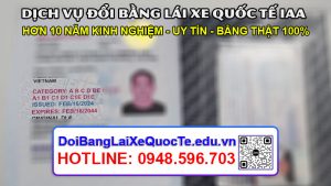 Dich vu doi bang lai xe quoc te IAA sieu nhanh Bang ve ngay 21022024 3