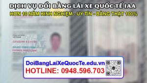 Dich vu doi bang lai xe quoc te IAA sieu nhanh Bang ve ngay 26022024 2