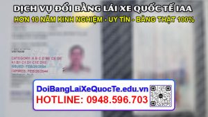 Dich vu doi bang lai xe quoc te IAA sieu nhanh Bang ve ngay 05032024 5