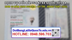 Dich vu doi bang lai xe quoc te IAA sieu nhanh Bang ve ngay 13032024 5