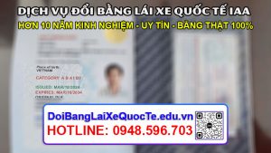 Dich vu doi bang lai xe quoc te IAA sieu nhanh Bang ve ngay 25032024 1