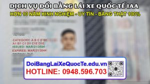 Dich vu doi bang lai xe quoc te IAA sieu nhanh Bang ve ngay 26032024 3