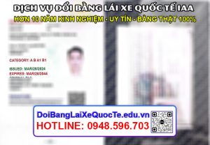 Dich vu doi bang lai xe quoc te IAA Cong ty Hoang Minh 11042024 1