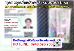 Dich vu doi bang lai xe quoc te IAA Cong ty Hoang Minh 17042024 6