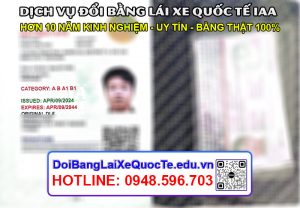 Dich vu doi bang lai xe quoc te IAA Hieu Htpc 20042024 3
