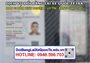Dich vu doi bang lai xe quoc te IAA Hoang Minh 7