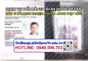 Dich vu doi bang lai xe quoc te IAA sieu nhanh Bang ve ngay 04042024 4