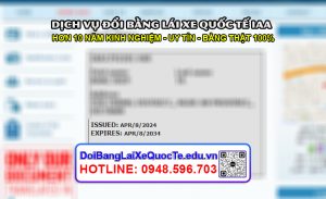 Doi bang lai xe quoc te IAA khach nhan bang Mien Phi tai My ngay 09042024 2