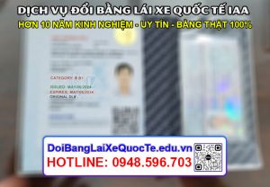 Dich vu doi bang lai xe quoc te IAA Cong Nghe Hoang Minh 13052024 7