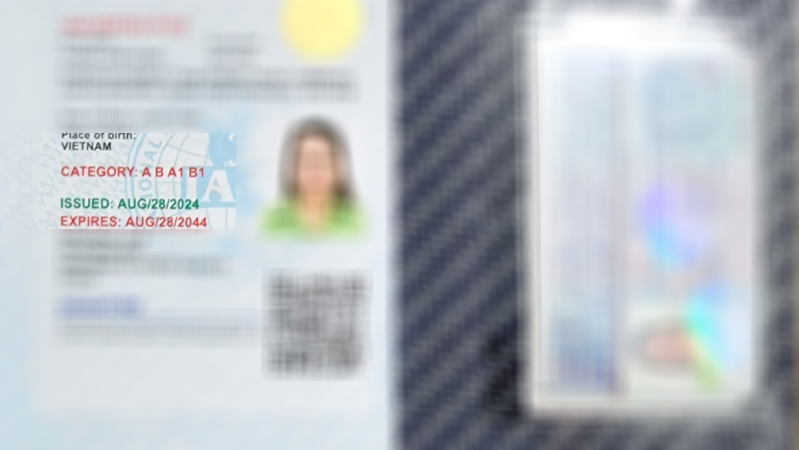 Thong bao bang lai xe quoc te IAA ngay 05092024 da co Dich vu doi bang lai xe quoc te IAA 13