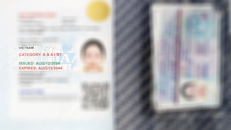 Thong bao bang lai xe quoc te IAA ngay 21082024 da co Dich vu doi bang lai xe quoc te IAA 6